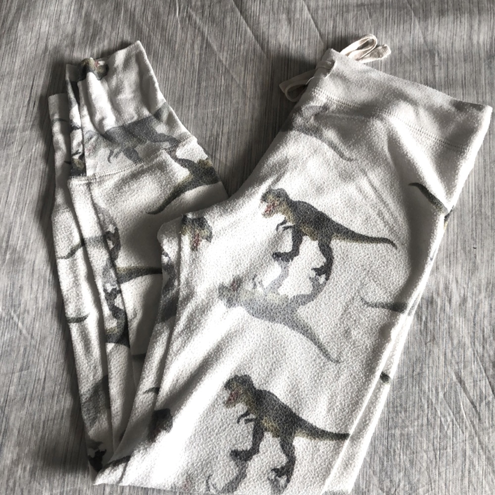 All things fabulous 🦖 pajama pants
